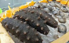 如何對進行海參室內(nèi)控溫養(yǎng)殖